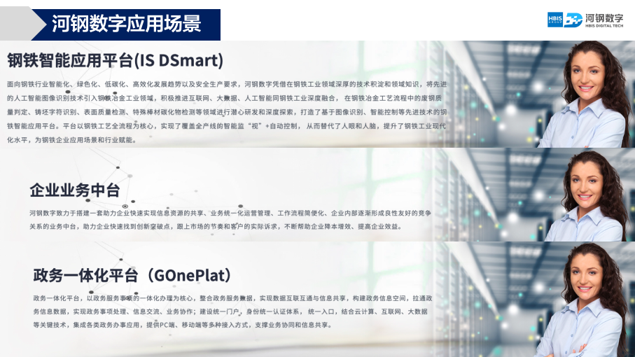 河鋼數(shù)字品牌命名項目方案圖15