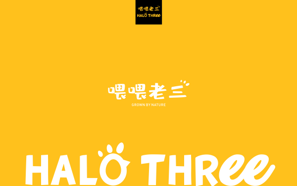 Halo Three 包裝設計