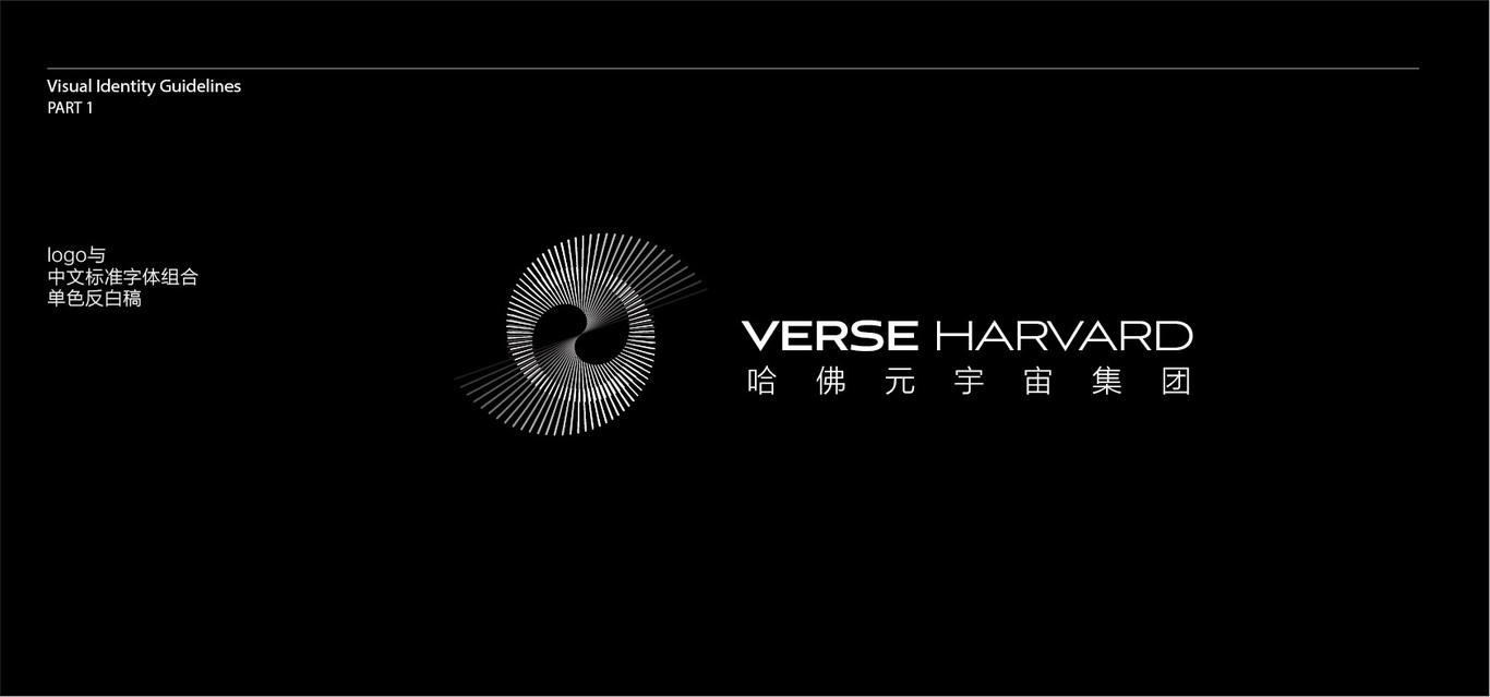 加拿大虛擬幣品牌VERSE HARVARRD logo及vi設(shè)計(jì)圖12