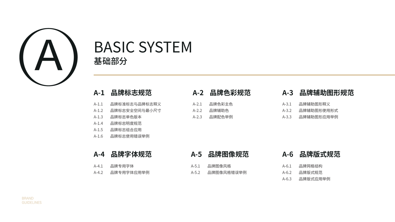 護膚品VI基礎規(guī)范設計中標圖1