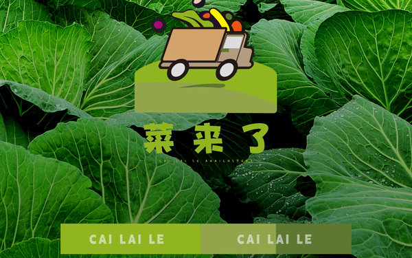 電商買(mǎi)菜平臺(tái)品牌搭建/小菜娃