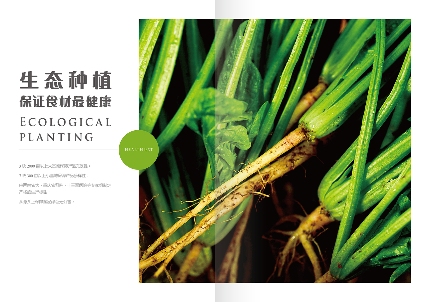 生鮮配送平臺(tái)項(xiàng)目畫冊圖7