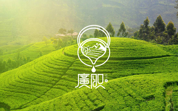 廣職紅茶標(biāo)志項(xiàng)目