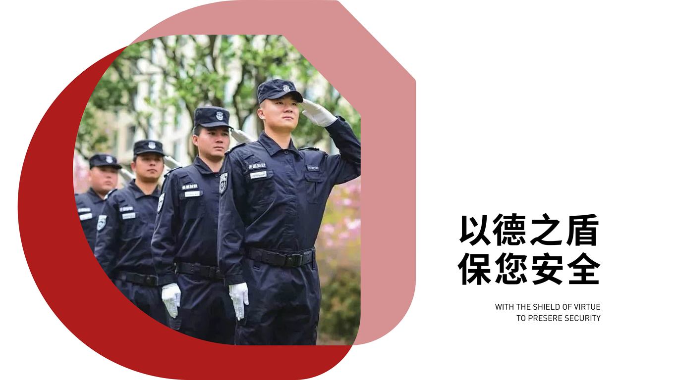 廈門德盾保安服務(wù)公司品牌LOGO（安保行業(yè)）圖5