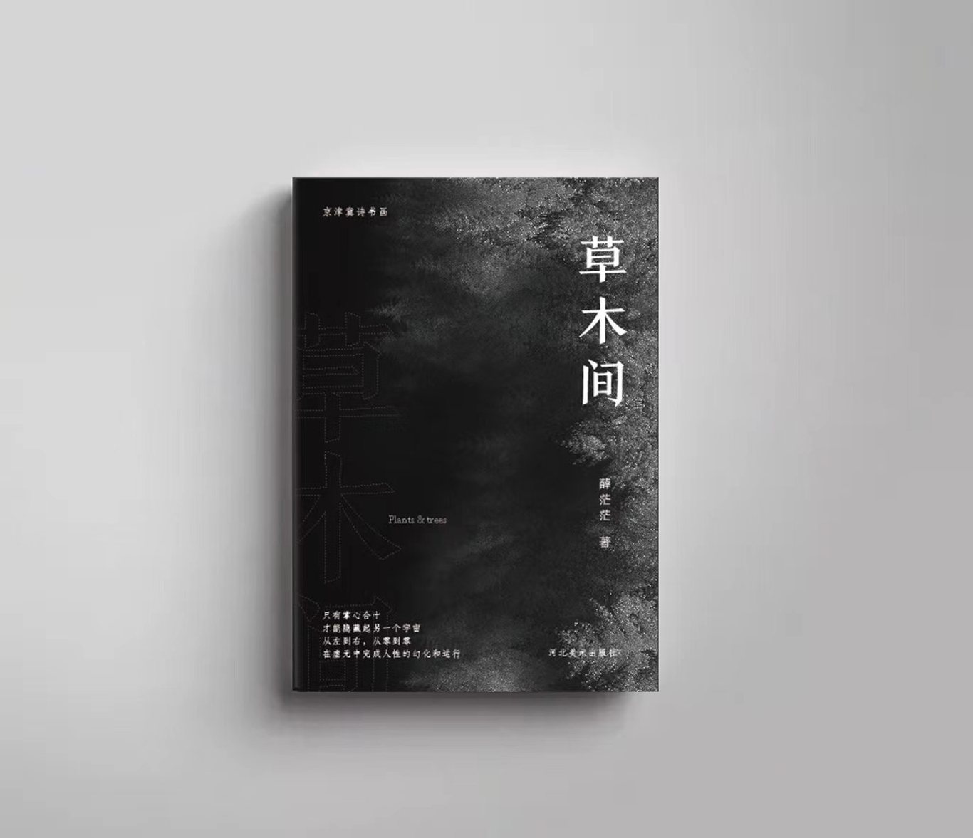 詩(shī)集作品封面設(shè)計(jì)圖4