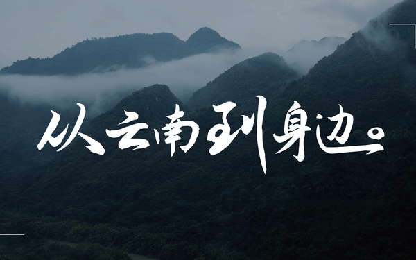 从云南到身边系列包装设计提案