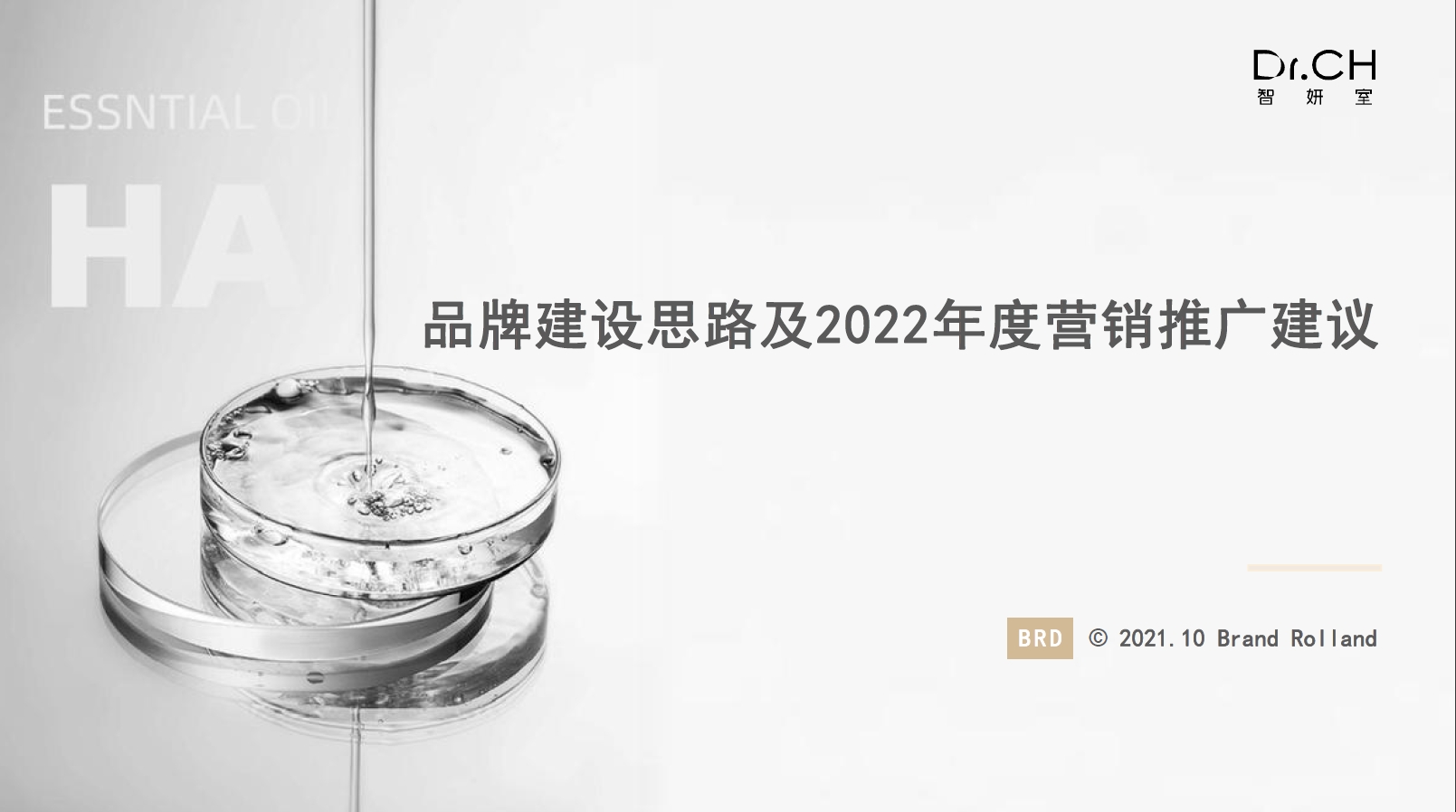 Dr.CH品牌建設(shè)思路及2022年度營銷推廣建議