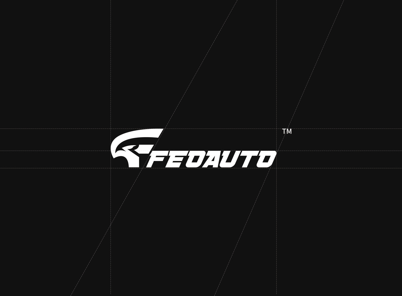 《FEDAUTO》剎車片標志設計及包裝設計圖0