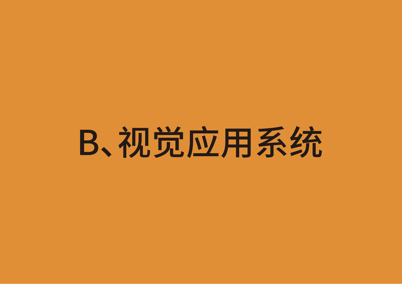 遼寧飛豹隊(duì)視覺形象設(shè)計(jì)圖31