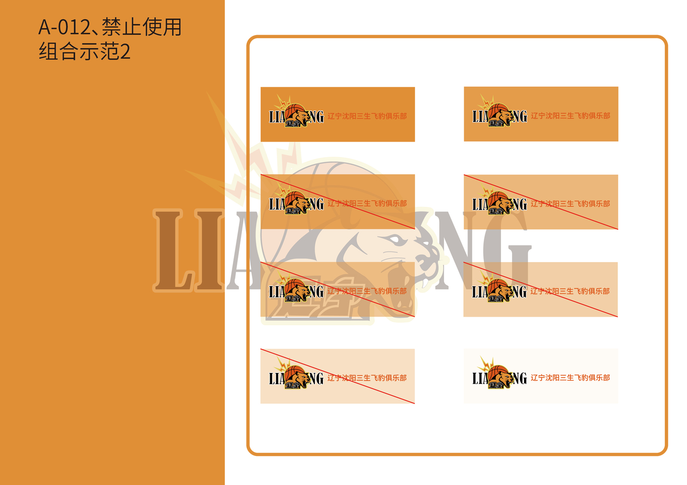 遼寧飛豹隊(duì)視覺形象設(shè)計(jì)圖15