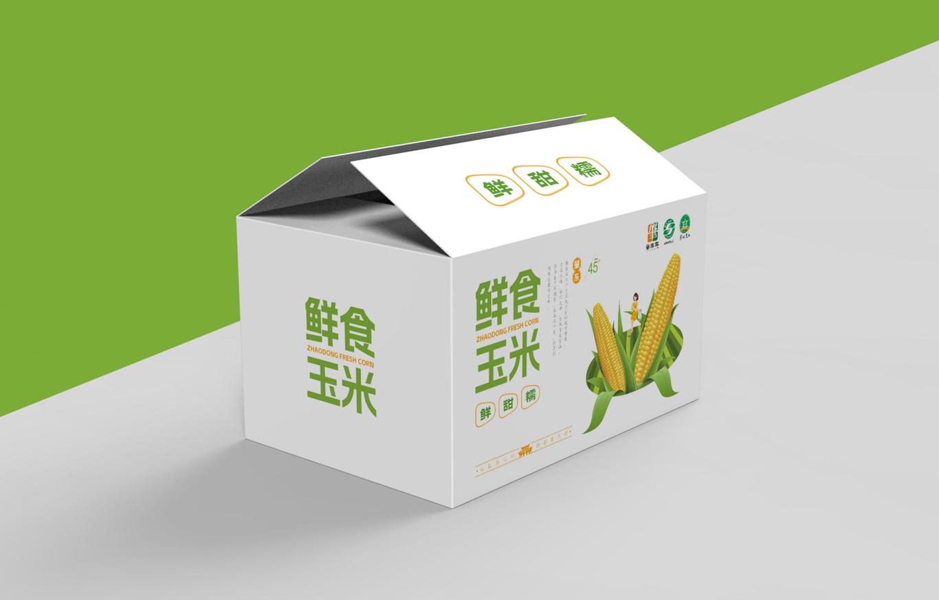 肇東縣域公共品牌農(nóng)產(chǎn)品包裝系列設(shè)計圖29