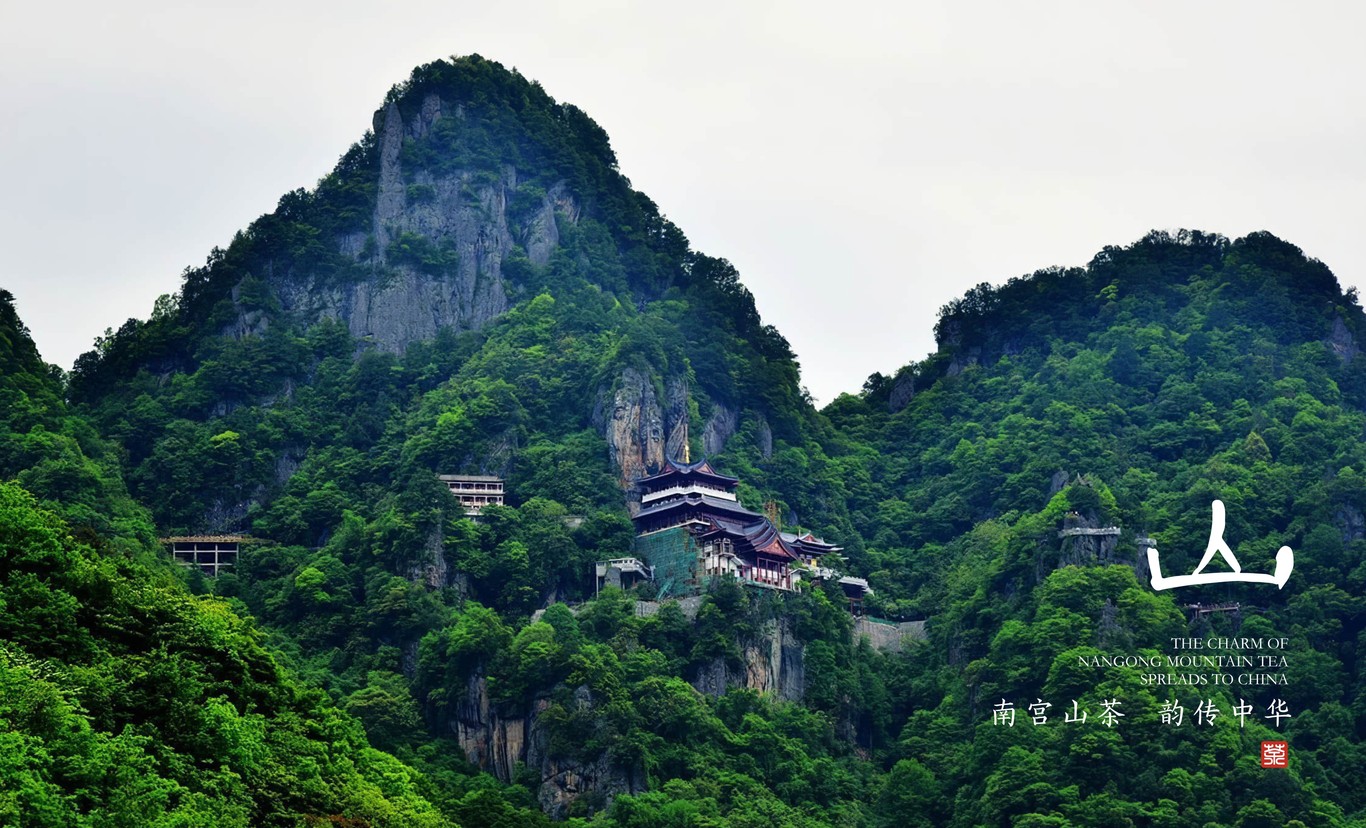 南宮山茶品牌標(biāo)志設(shè)計圖2