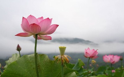 公用集团企业文化