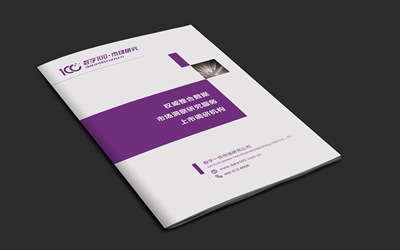 数字100市场研究公司画册设计