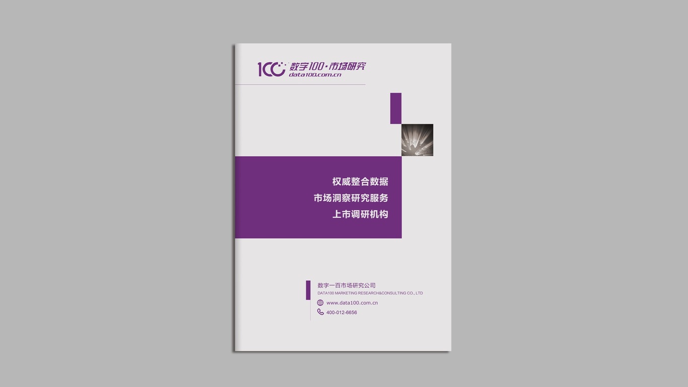 數字100市場(chǎng)研究公司畫(huà)冊設計圖0