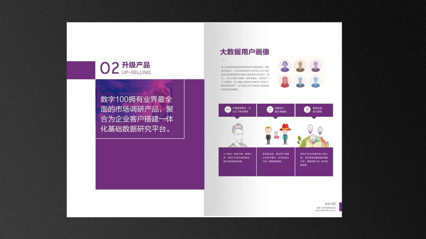 數字100市場(chǎng)研究公司畫(huà)冊設計圖3