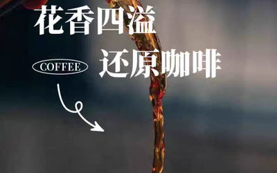 ROA品牌详情页