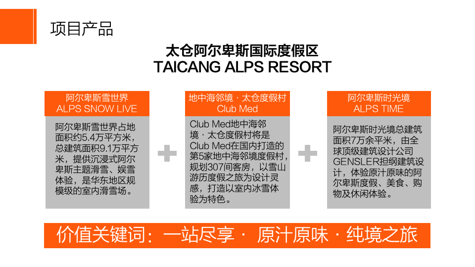 太倉阿爾卑斯國際度假區(qū)品牌推廣視覺策略案圖13