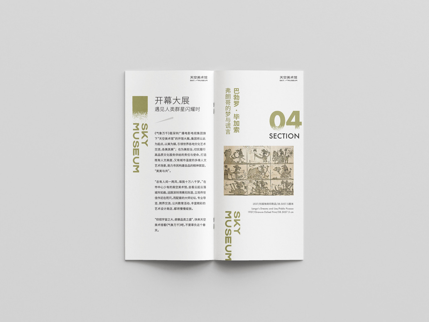 氣象萬(wàn)千藝術(shù)展畫(huà)冊圖5