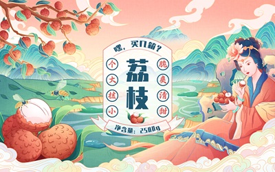 水果包裝插畫(huà)——荔枝