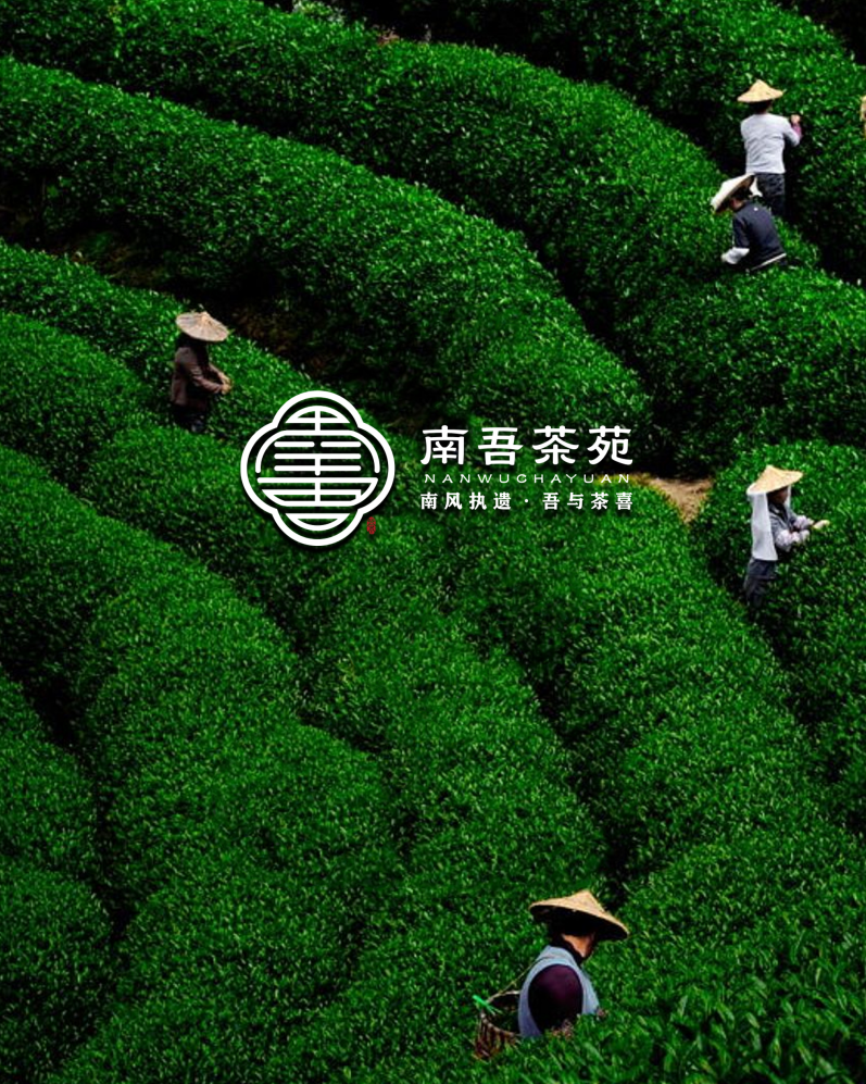 南吾茶苑（茶业）图3