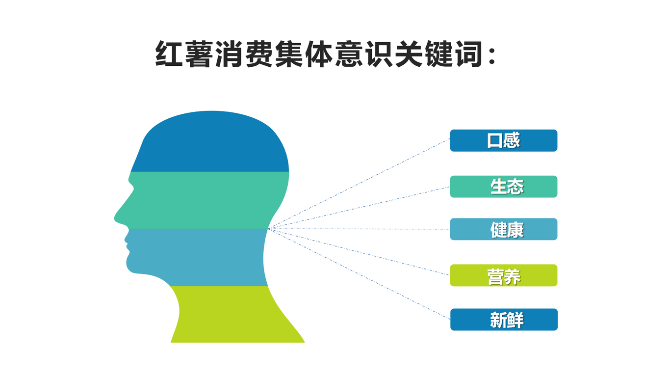 52°良作品牌规划方案图20