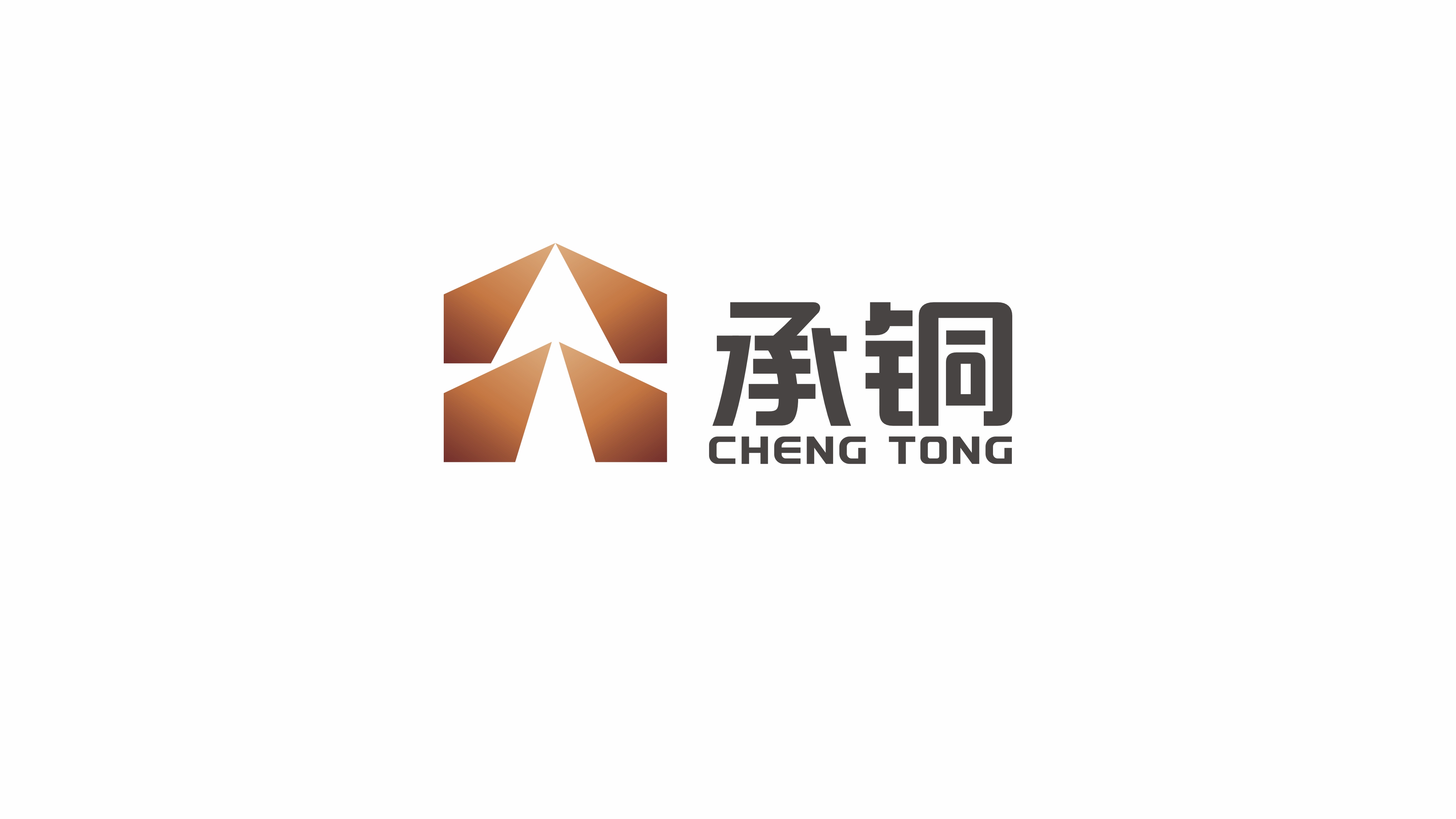 一款安防集團LOGO設計