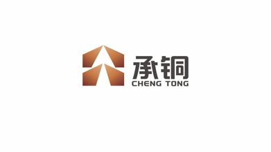 一款安防集團LOGO設計