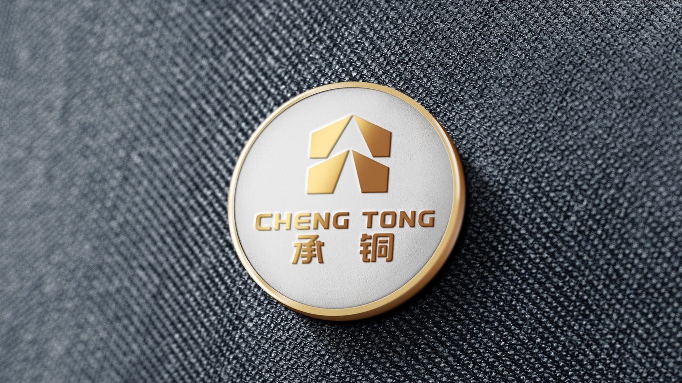 一款安防集團(tuán)LOGO設(shè)計(jì)中標(biāo)圖12