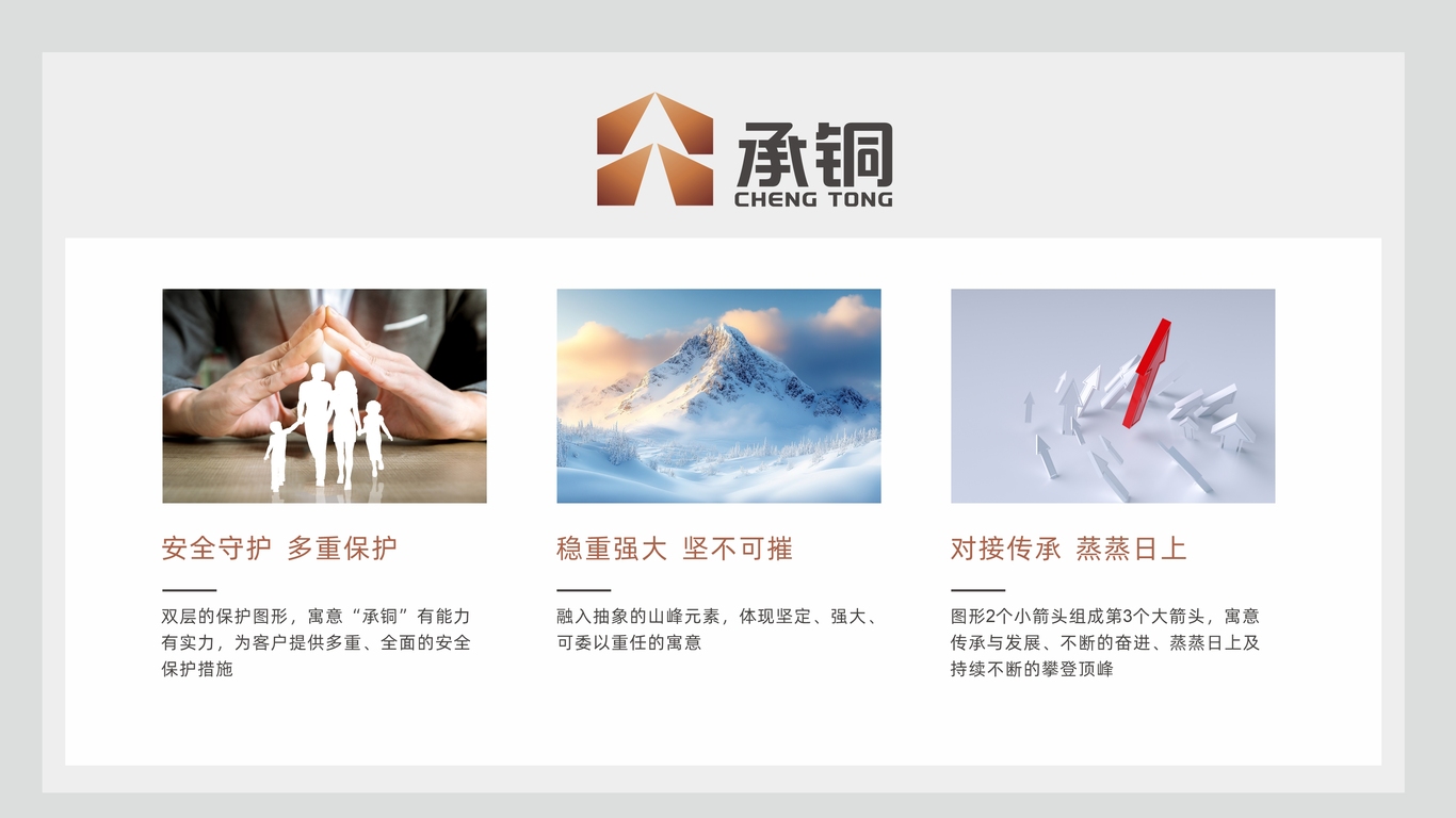 一款安防集團(tuán)LOGO設(shè)計(jì)中標(biāo)圖2