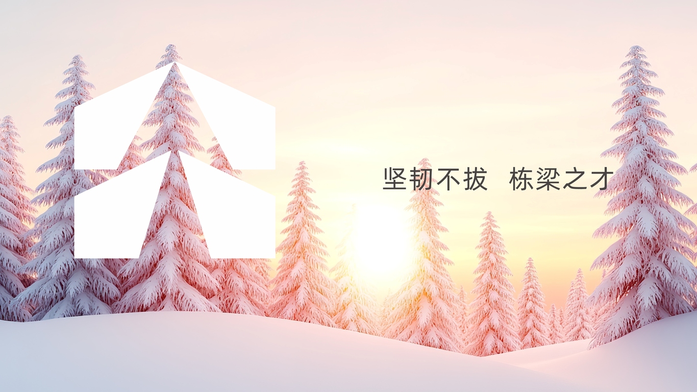一款安防集團(tuán)LOGO設(shè)計(jì)中標(biāo)圖0