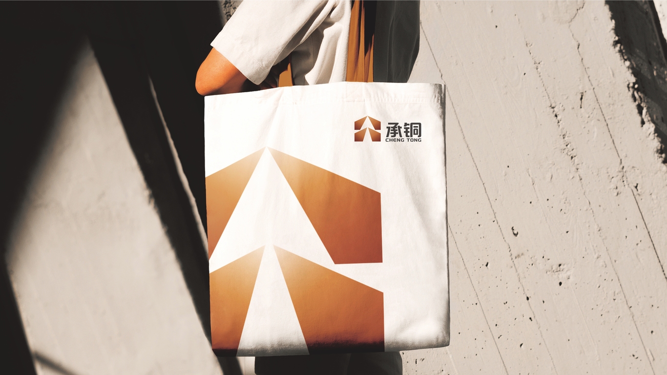 一款安防集團(tuán)LOGO設(shè)計(jì)中標(biāo)圖9