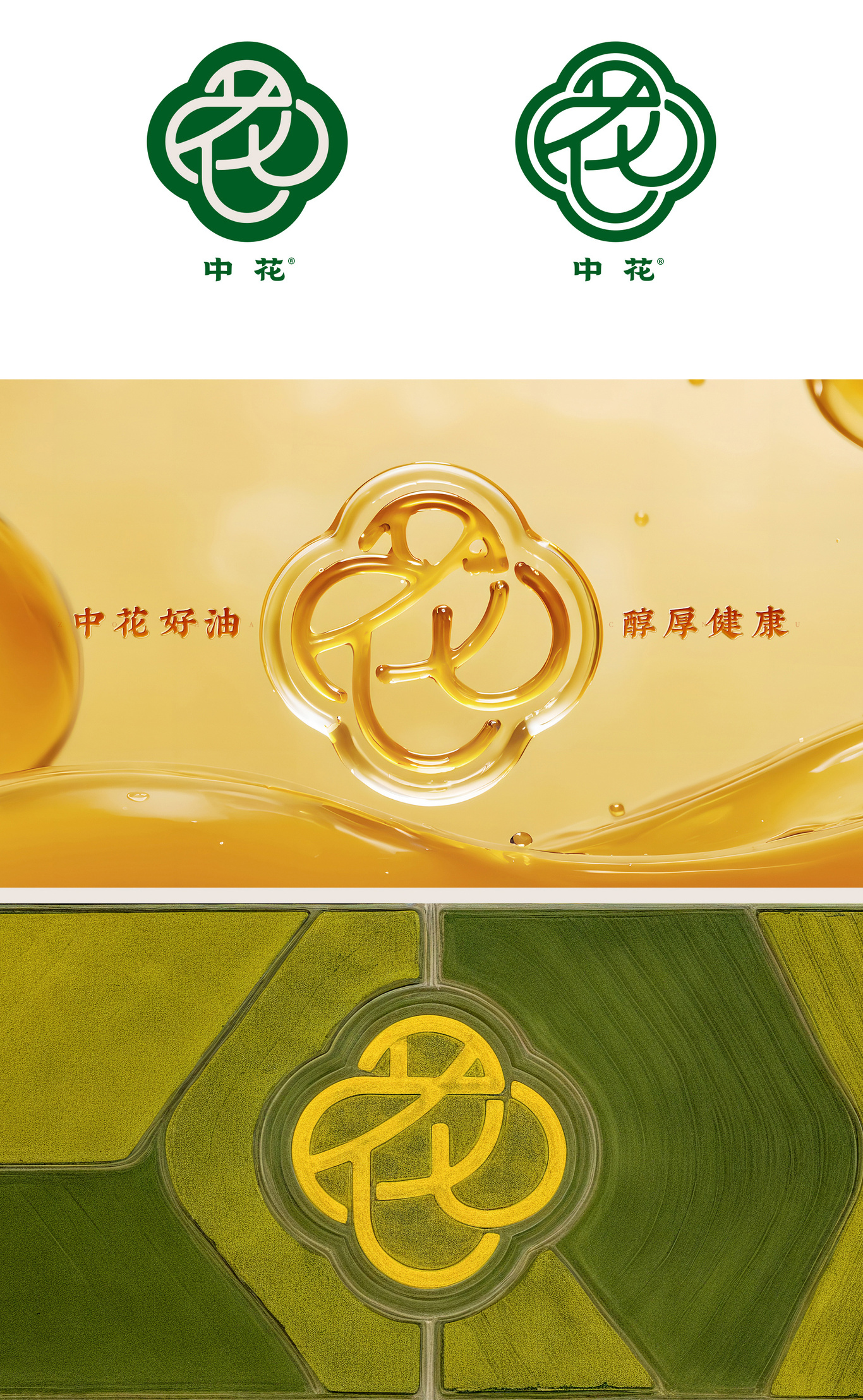 中花.菜籽油品牌戰(zhàn)略升級(jí)全案圖7