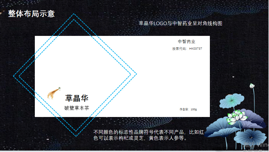 中智藥業包裝圖4