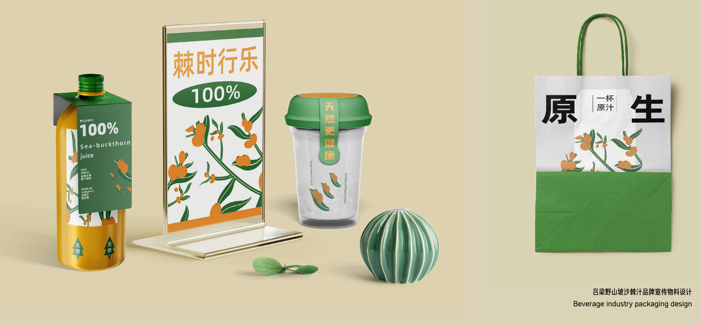 呂梁野山坡沙棘汁品牌包裝設計圖0