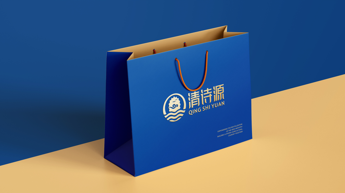 一款海参LOGO设计中标图5