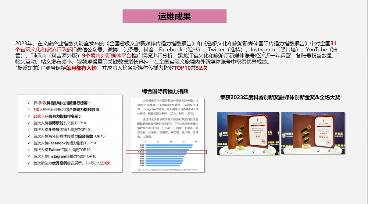 黑龙江2023年度互联网营销(新媒体矩阵营销)图1