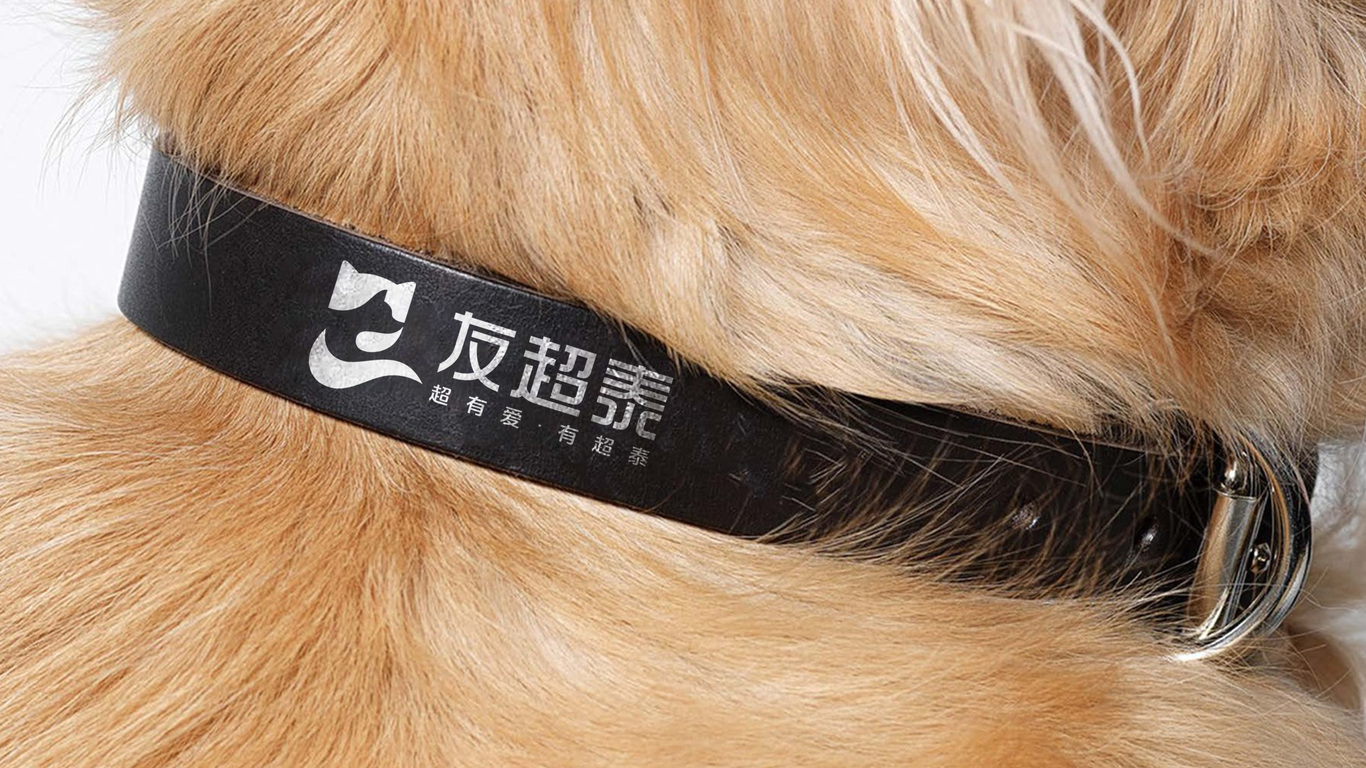 一款寵物食品LOGO設計中標圖8