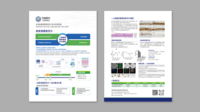 畫冊(cè)4p