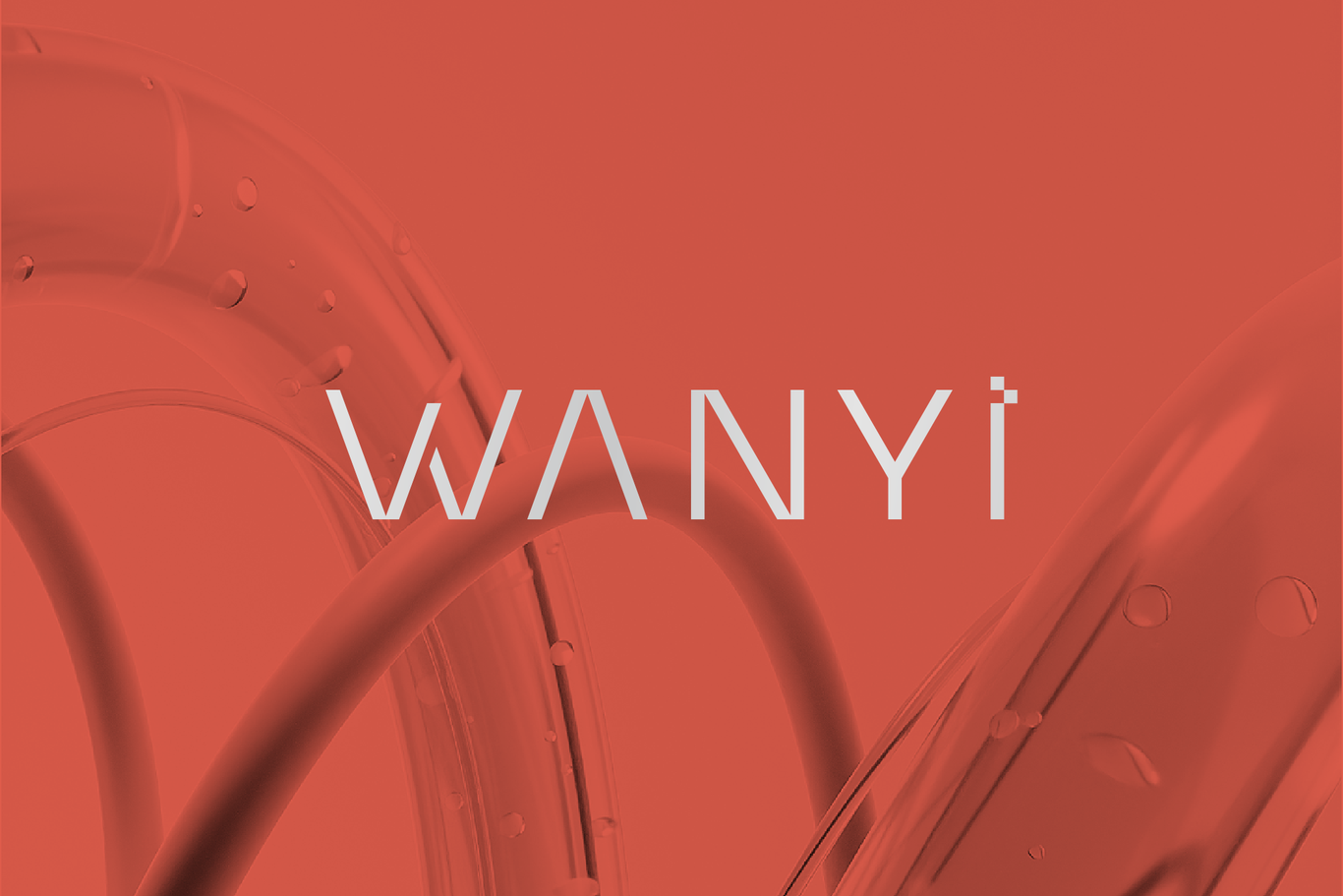 WANYI | 護膚品潔面乳包裝設計圖0