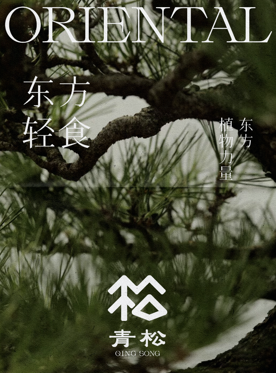 青松——轻食品牌设计图8