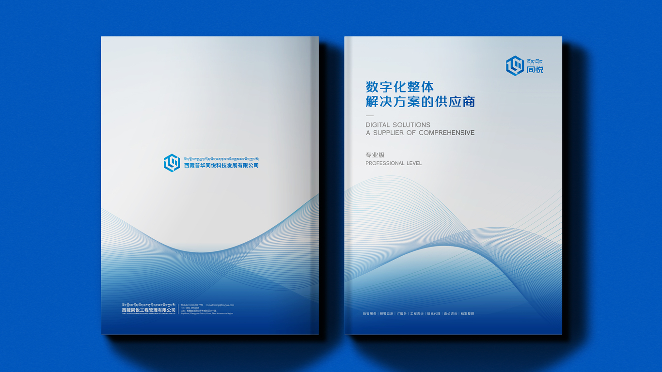 畫冊設(shè)計20P中標(biāo)圖3