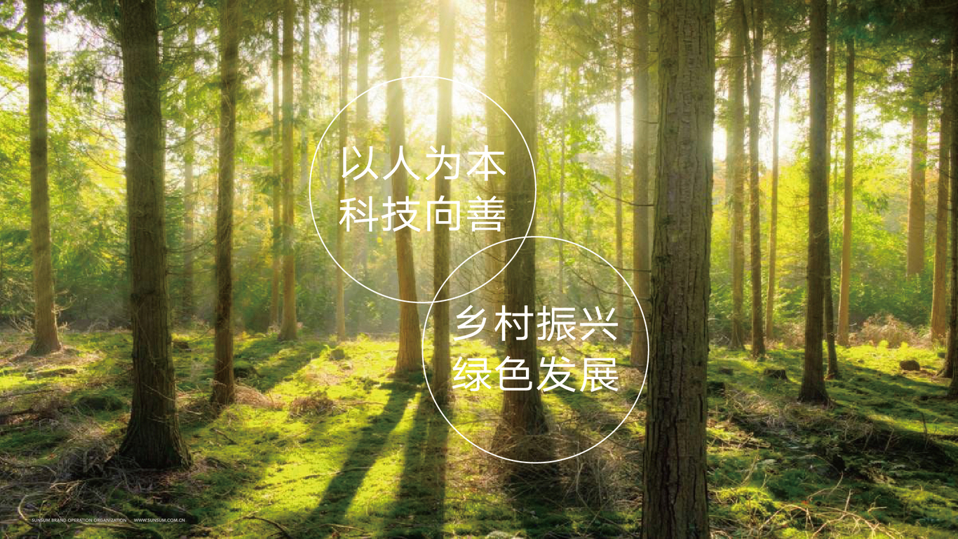 《同美好 共團圓》騰訊中秋榕江縣藍染禮盒（鄉村振興 精準扶貧+非遺侗布）圖31
