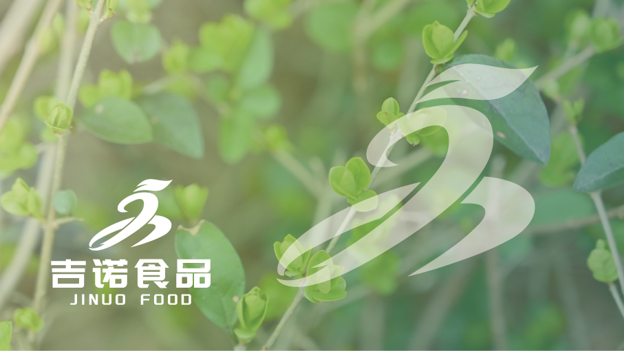 吉诺食品LOGO设计图1