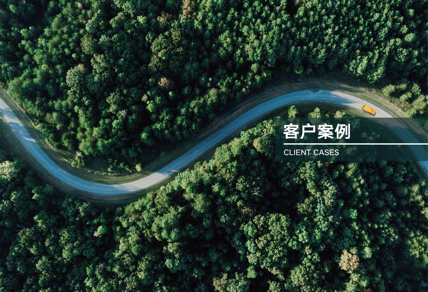 阳光智维企业画册图12