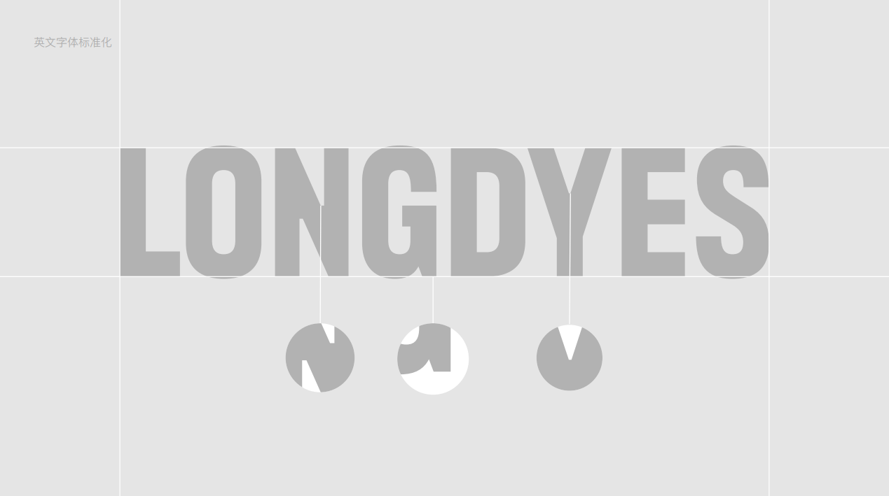 LONGDYES企业LOGO升级设计图8