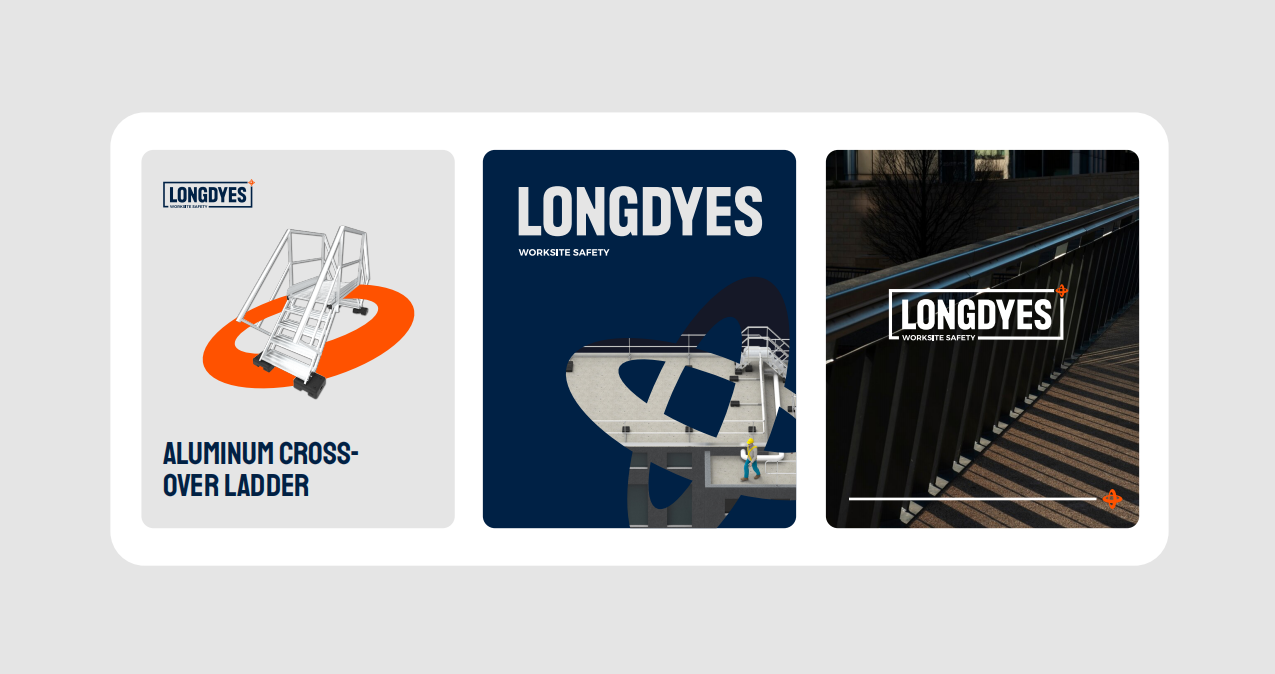 LONGDYES企业LOGO升级设计图13