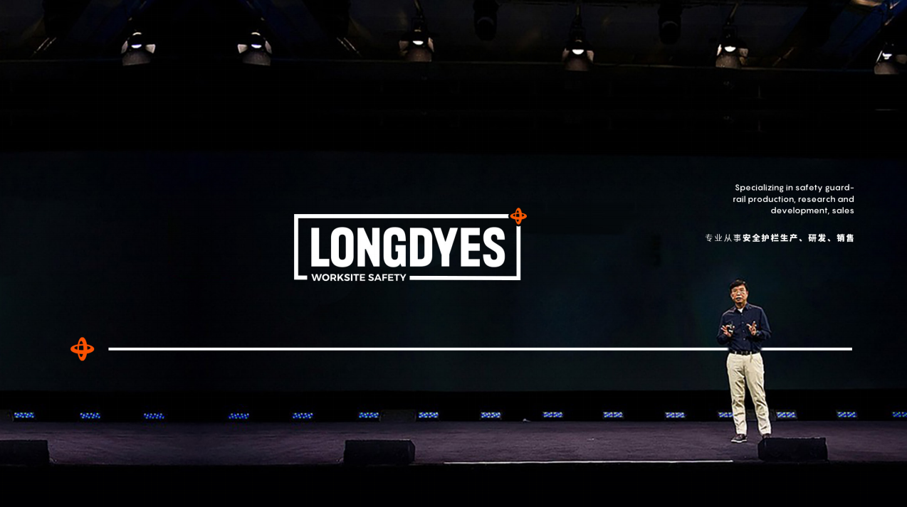 LONGDYES企业LOGO升级设计图14