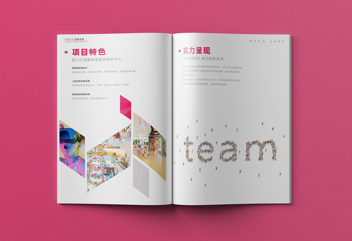 嘉榮集團招商畫(huà)冊圖8