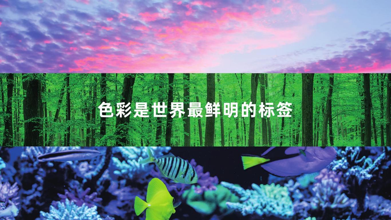 虎彩集團品牌形象設計圖3